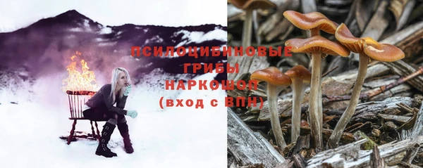 гашик Абдулино