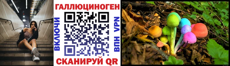 как найти   гидра маркетплейс  Псилоцибиновые грибы ЛСД  Староминская 
